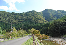 ホタル写真1