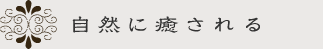 自然に癒される