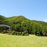 よいお年を。