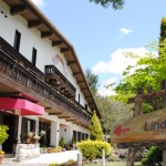Linden