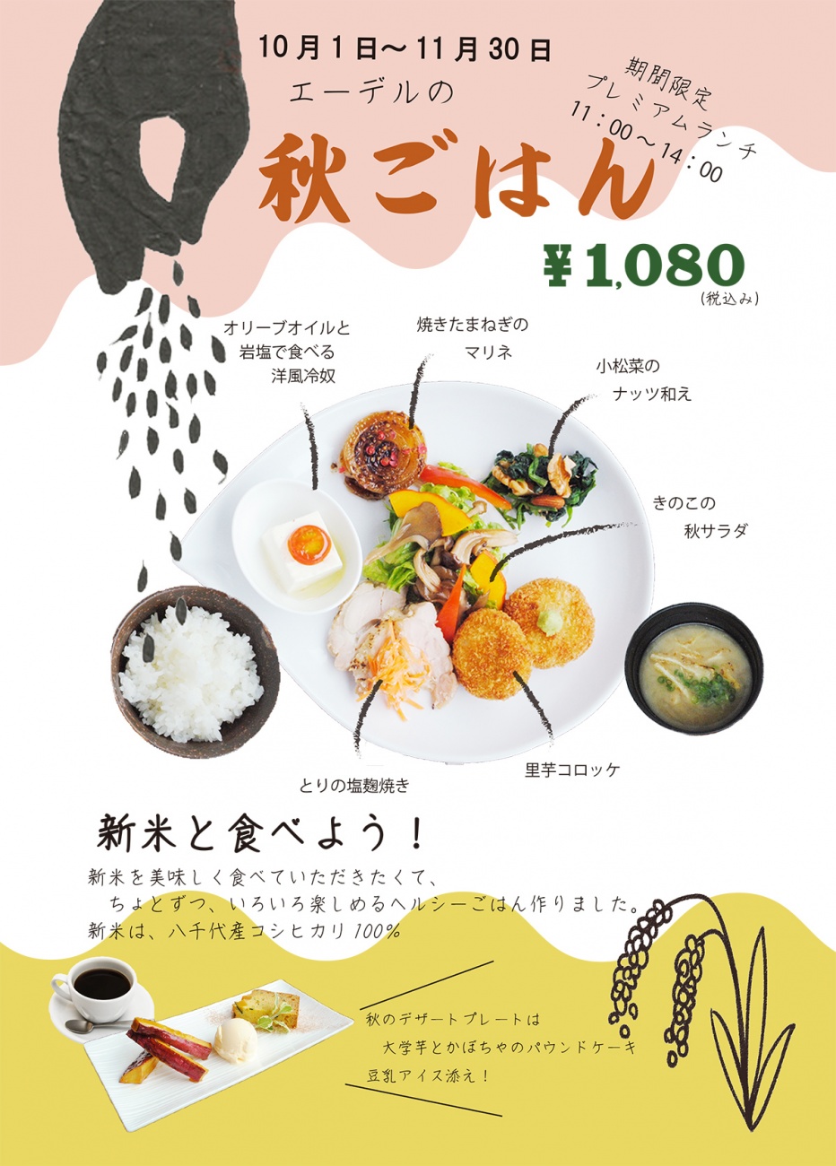 akigohan-2018